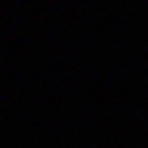 Meet your Posher, Flora